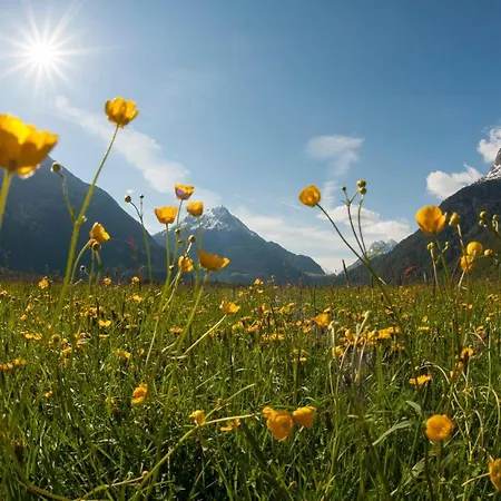 Appartement Oetztalblick *