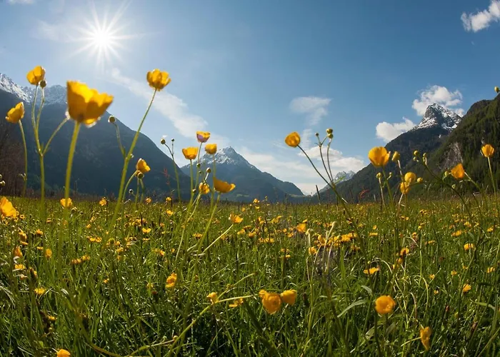 Апартаменты Oetztalblick *